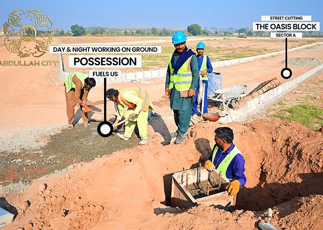 70448Artboard 7 (2).webp